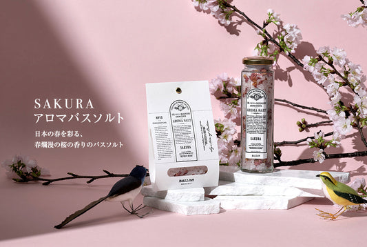SAKURA COLLECTION 2025年春 発売開始