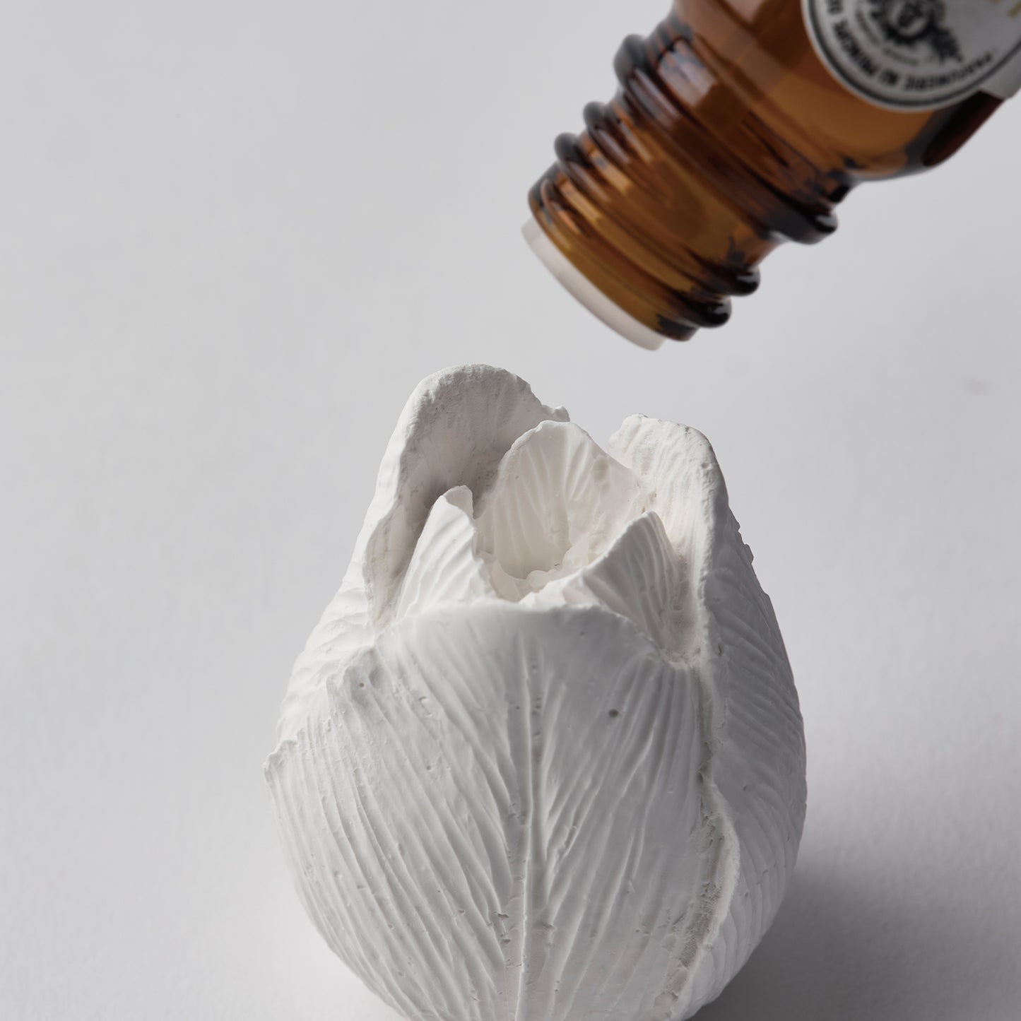 INCENSE HOLDER & AROMA ORNAMENT | Flower-Tulip < チューリップ >
