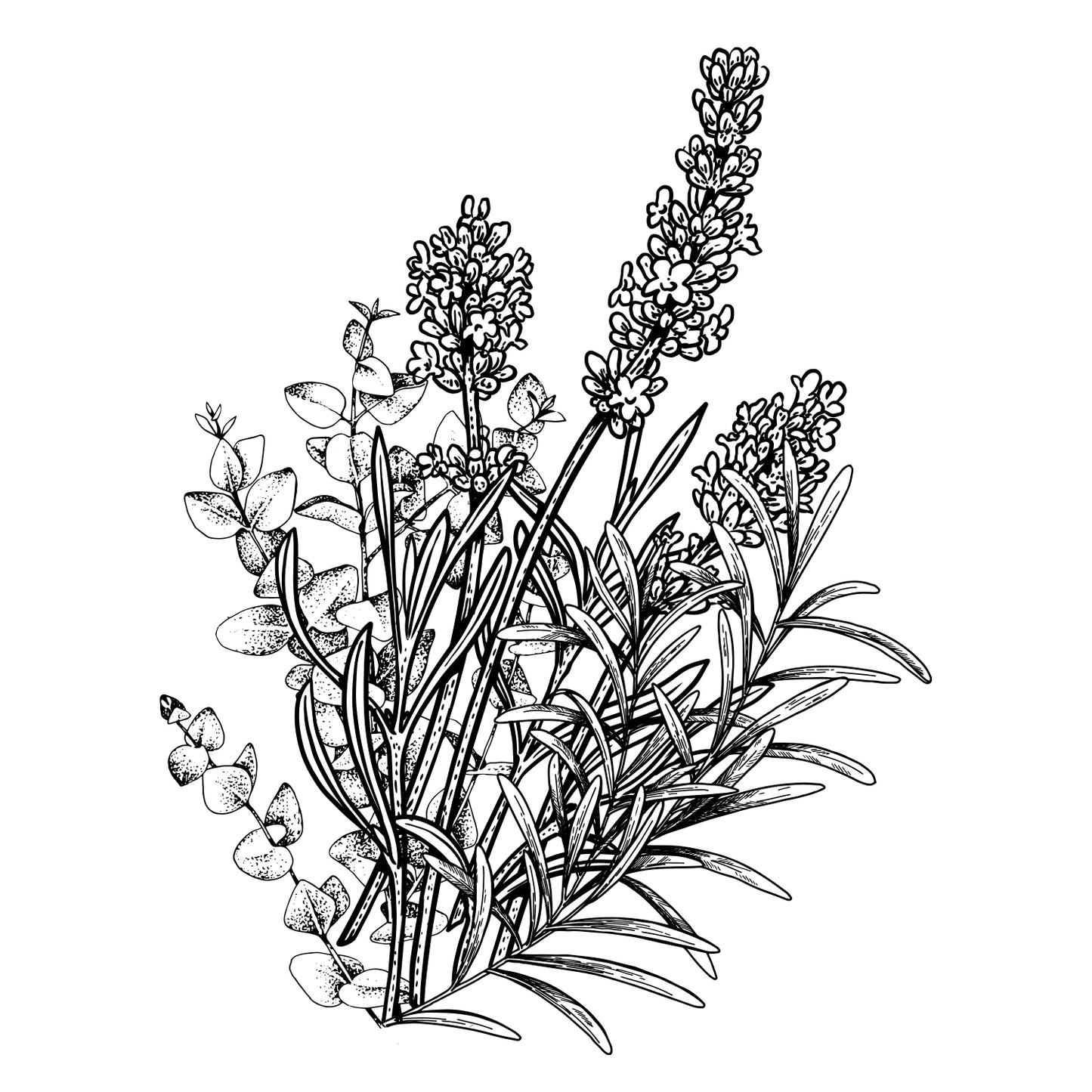 Trial&Travel Pack -Herb Forest -