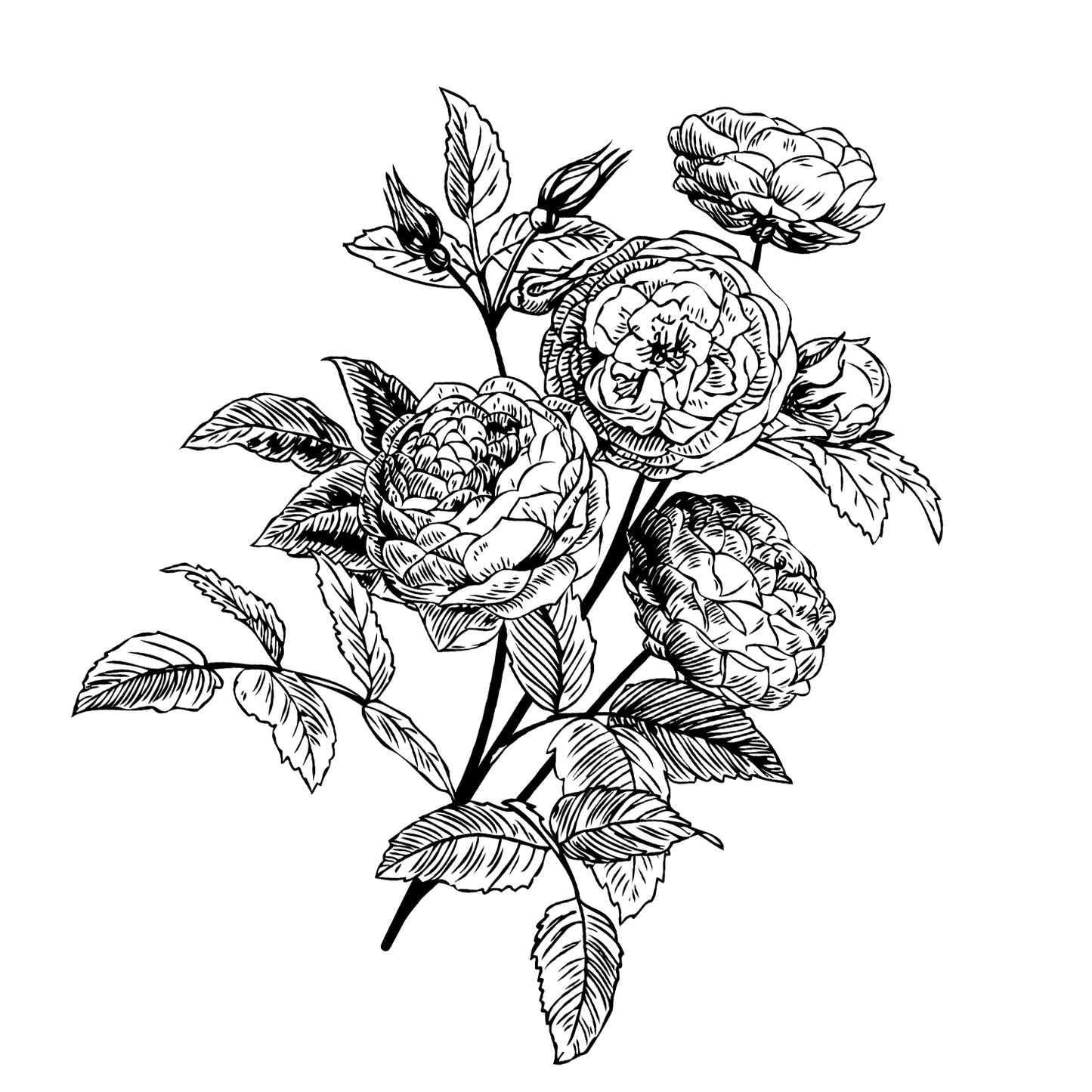 アロマバスソルト Rose