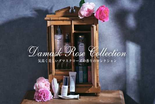 DAMASK ROSEコレクション発売