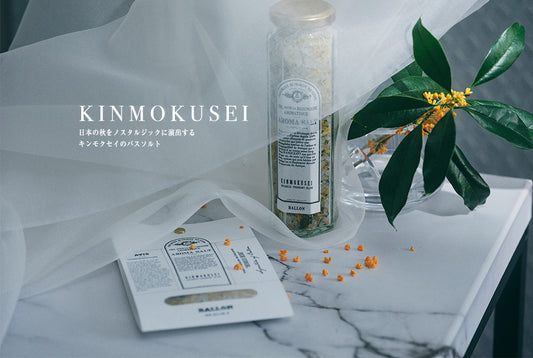 KINMOKUSEI COLLECTION　発売開始